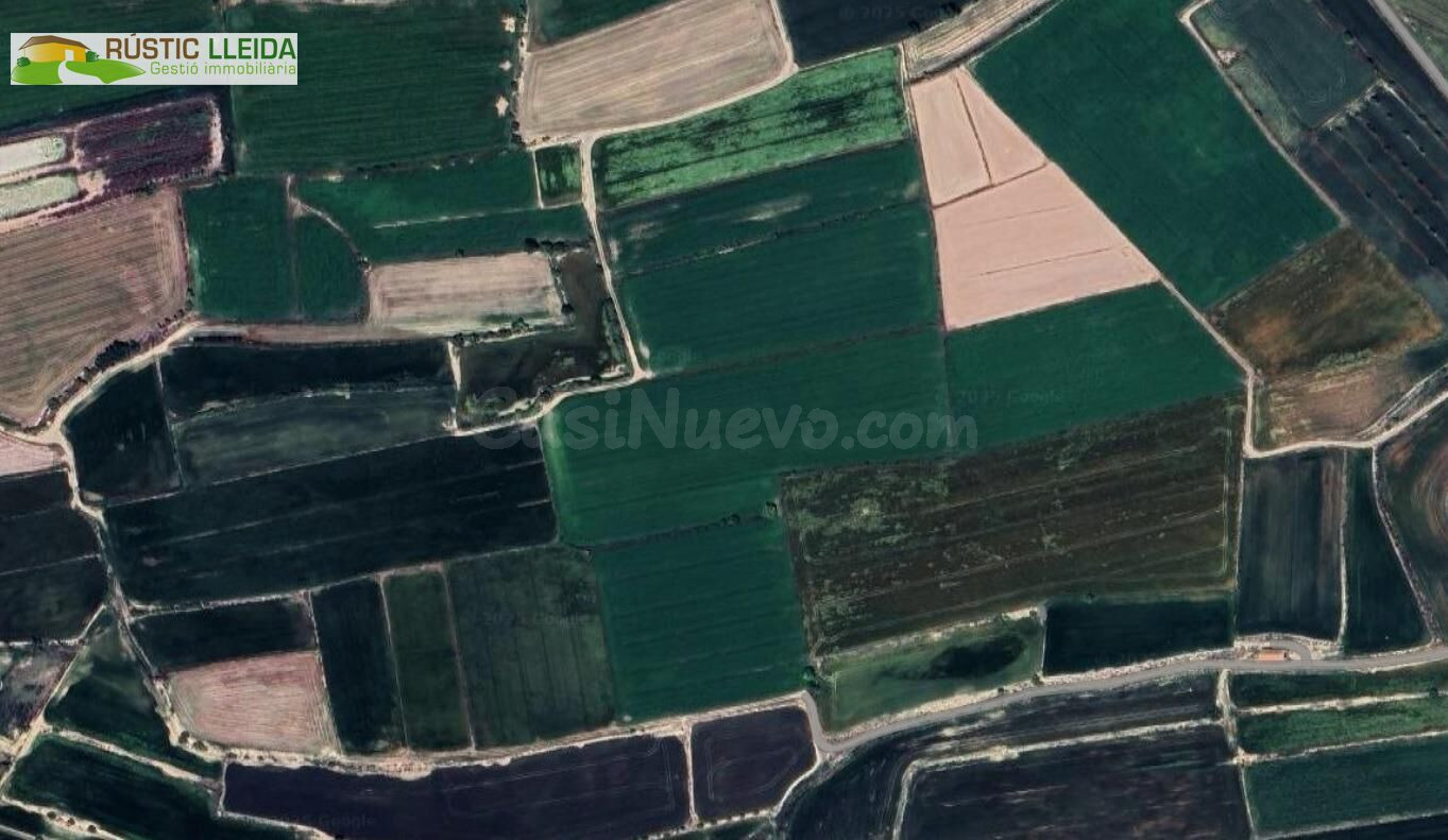 Finca de regadío con almacenes y casa en los alrededores de 