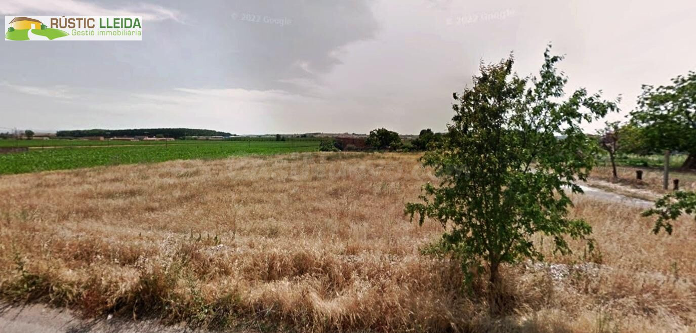 Finca rústica de regadío en Mollerussa – 2.152 m2 a solo 2 k - foto 2