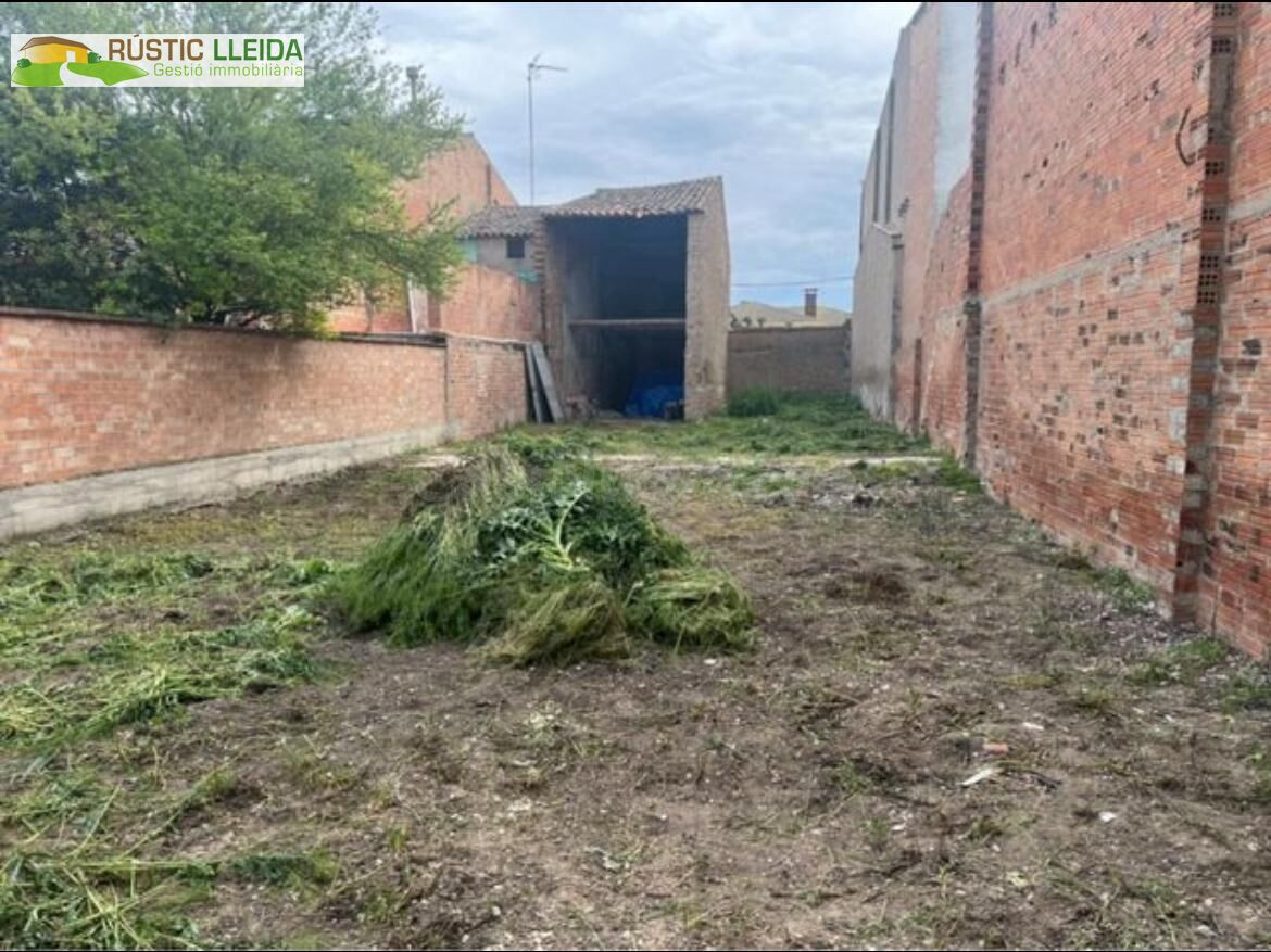 PARCELA URBANA EN IVARS D'URGELL. - foto 2