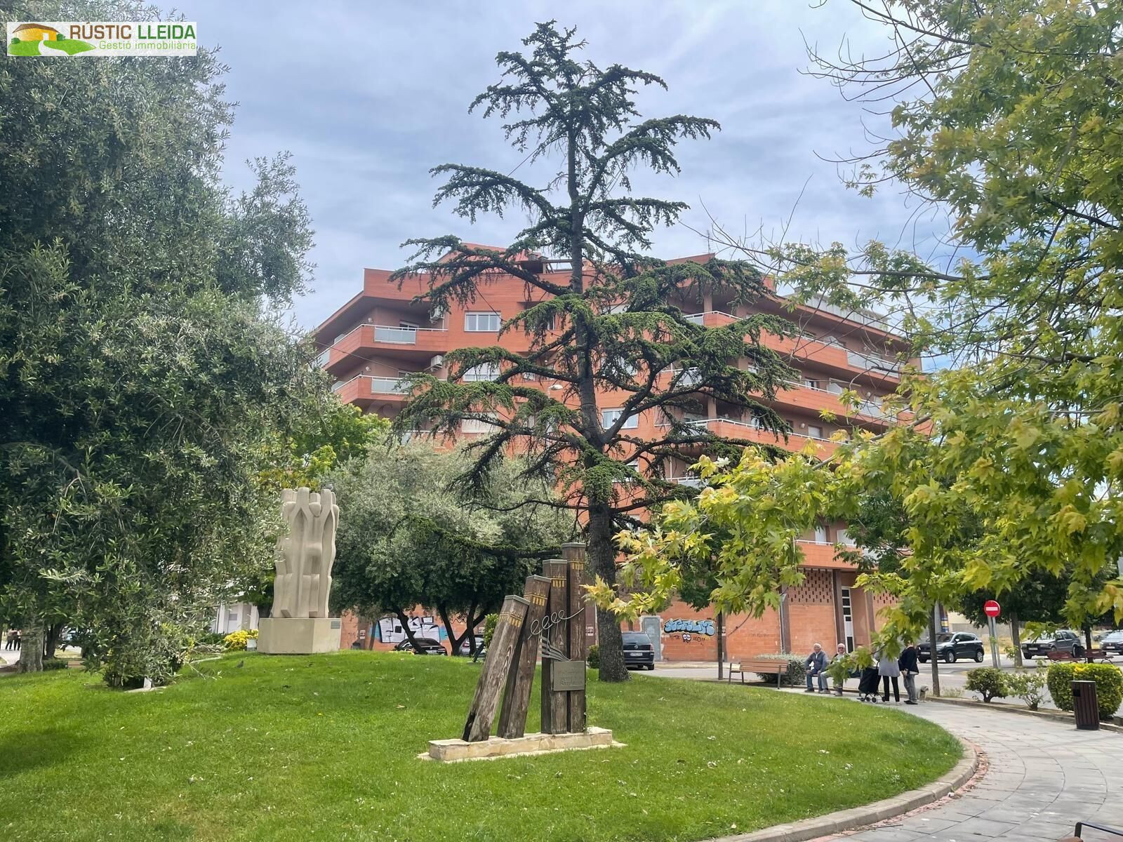 GRAN PISO EN MOLLERUSSA, EN LA AVINGUDA DE LA PAU. - foto 2