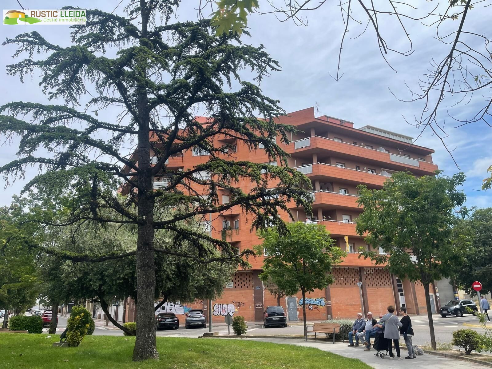 GRAN PISO EN MOLLERUSSA, EN LA AVINGUDA DE LA PAU. - foto 3