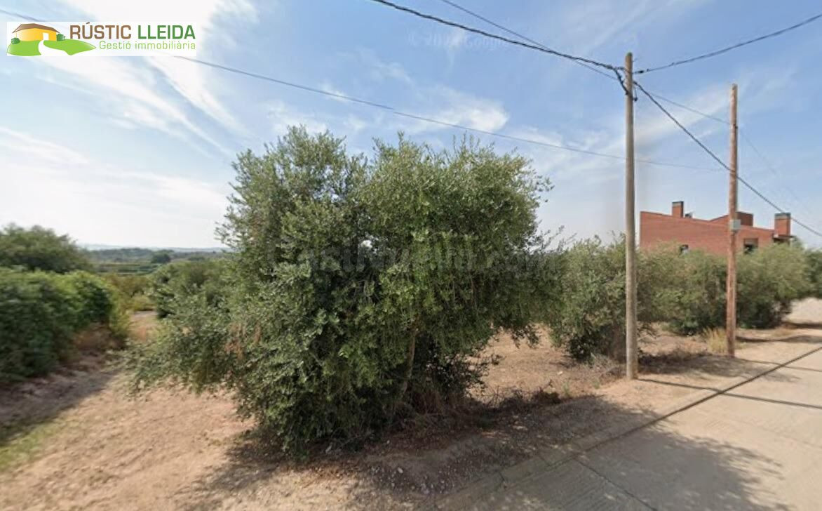 ¡OPORTUNIDAD ÚNICA EN PUIGGRÒS! Parcela urbana con finca rús - foto 2