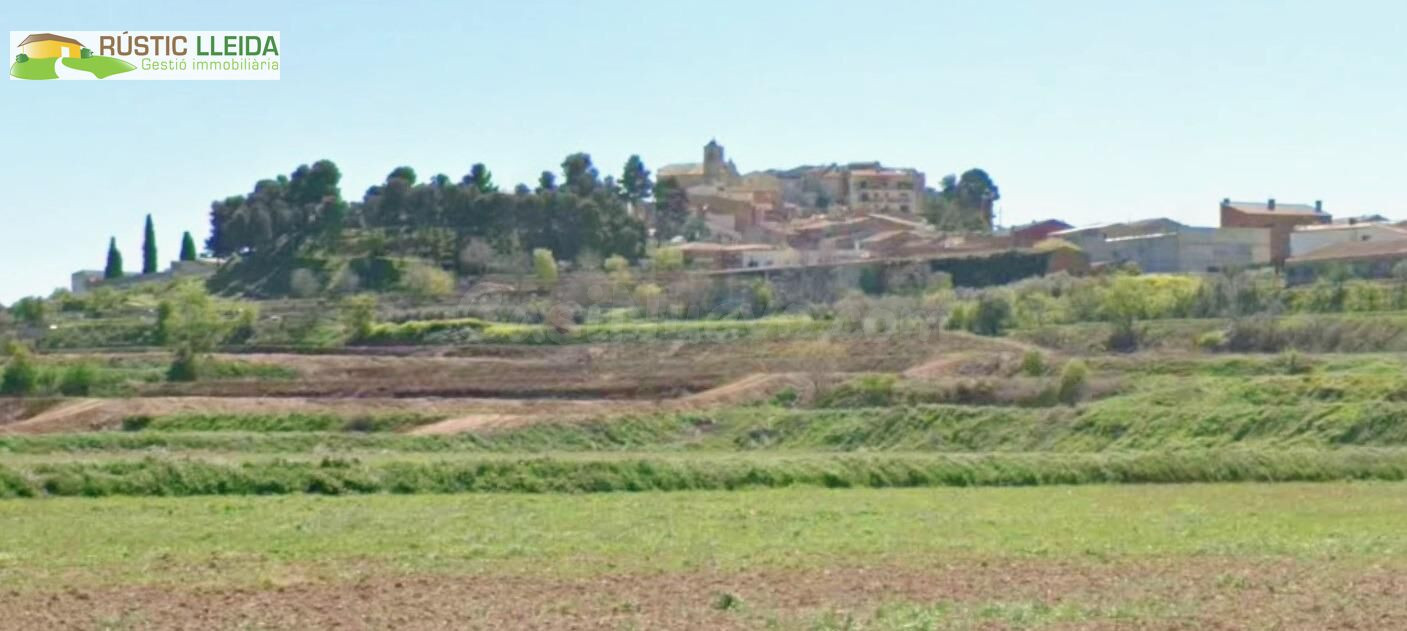 ¡OPORTUNIDAD ÚNICA EN PUIGGRÒS! Parcela urbana con finca rús - foto 3