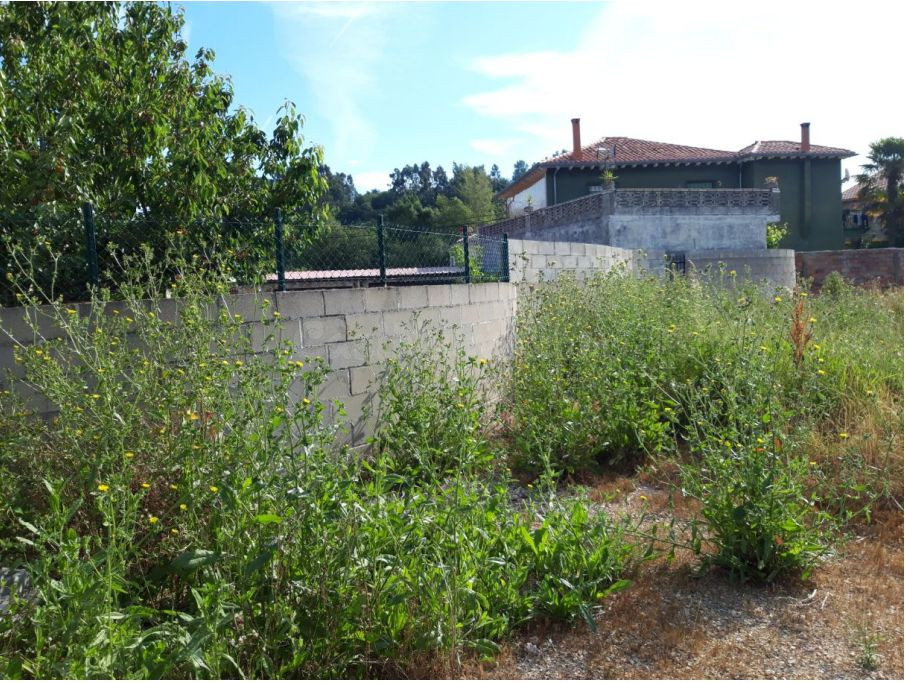Piso 232m² en venta - Rinconeda - foto 3