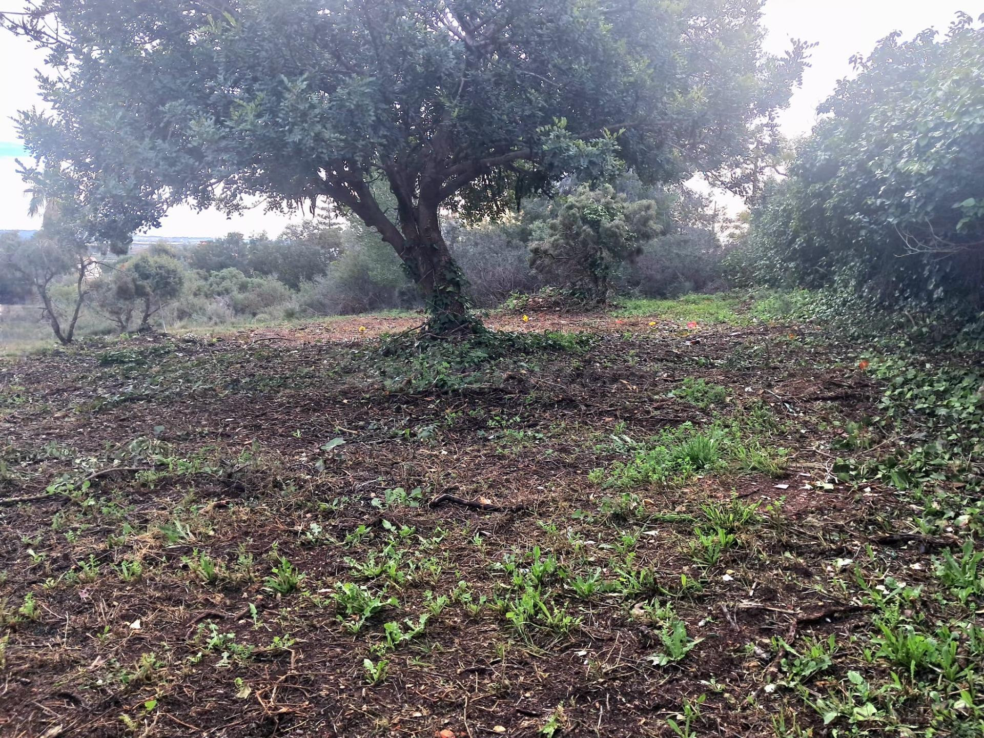 VENTA DE PARCELA URBANO EN LA POBLA DE VALLBONA - foto 5