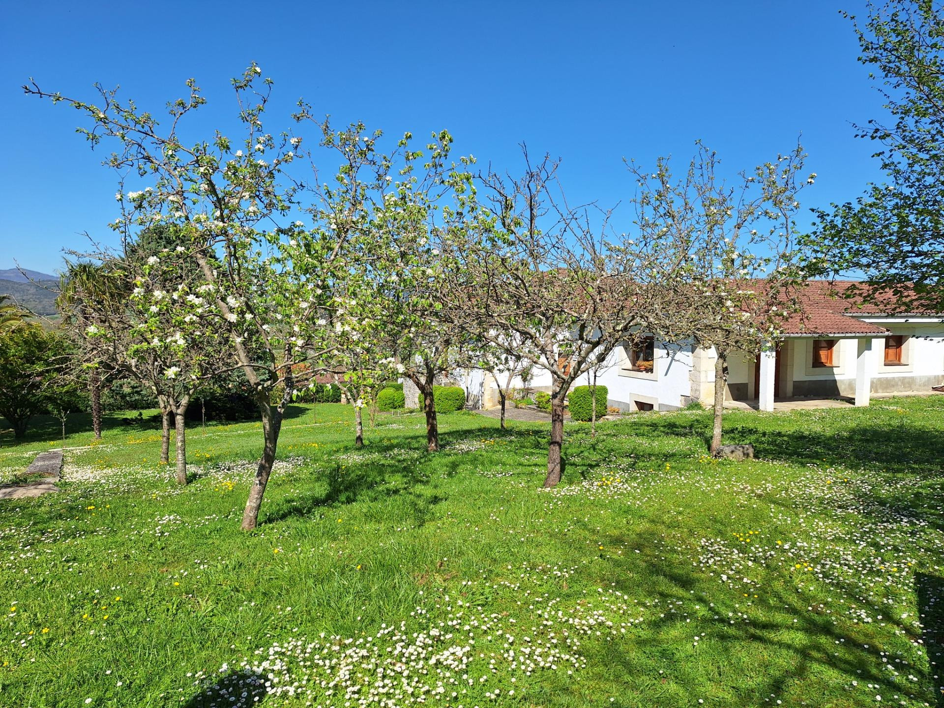 Fantástica casa con vistas increíbles - foto 4