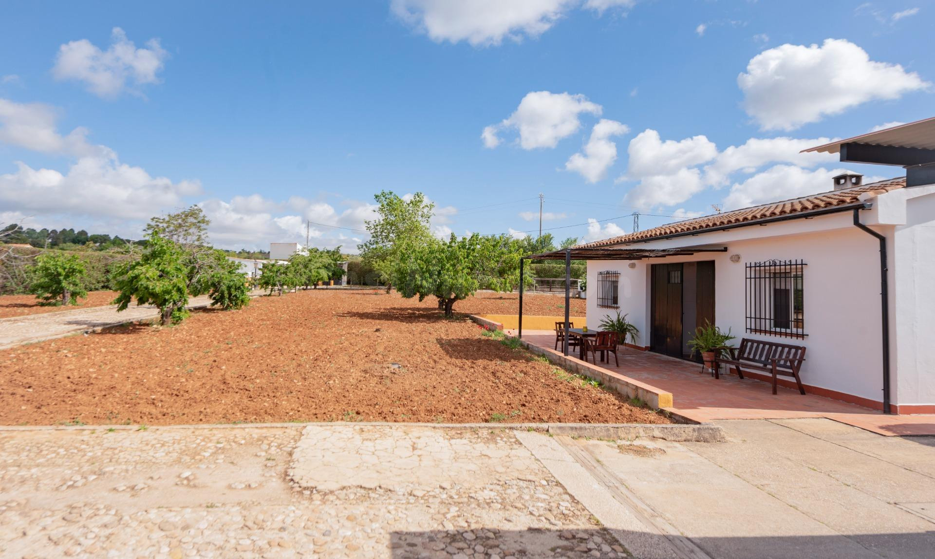 Tu refugio entre montañas y naturaleza: vive la tranquilidad