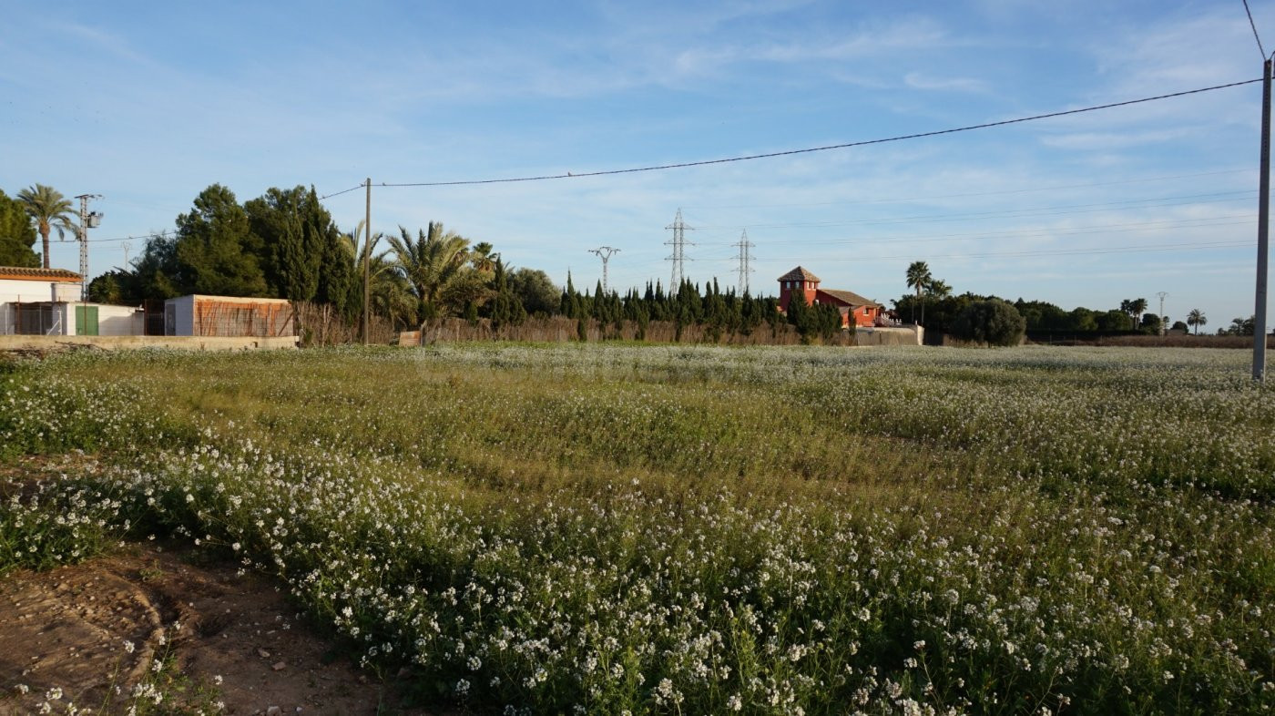 PARCELA VALLADA EN UN LUGAR PRIVILEGIADO ENTRE ELCHE Y SANTA POLA!