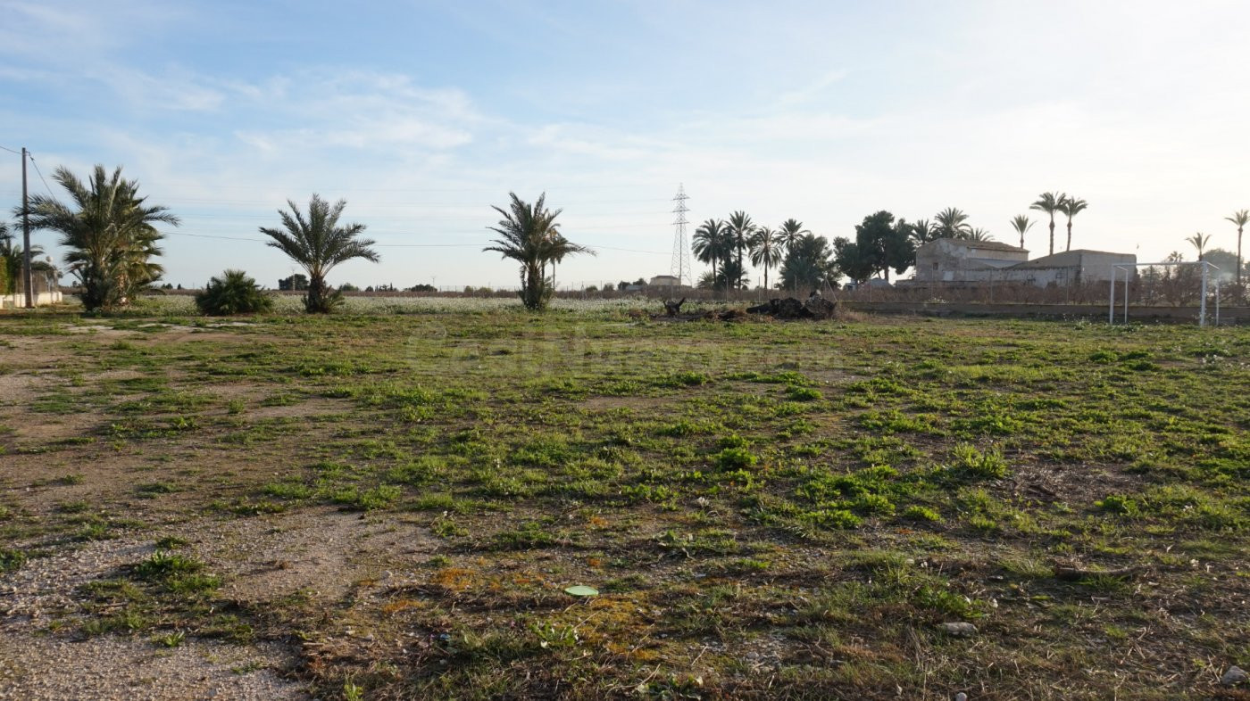 PARCELA VALLADA EN UN LUGAR PRIVILEGIADO ENTRE ELCHE Y SANTA POLA! - foto 3