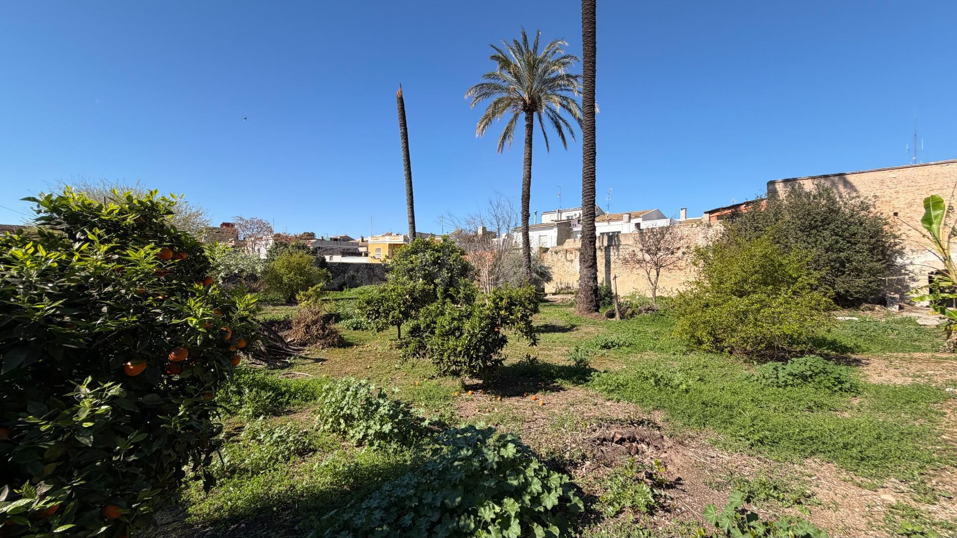 SOLAR FINALISTA EN ALBERIC: OPORTUNIDAD PARA 25 VIVIENDAS CO - foto 5