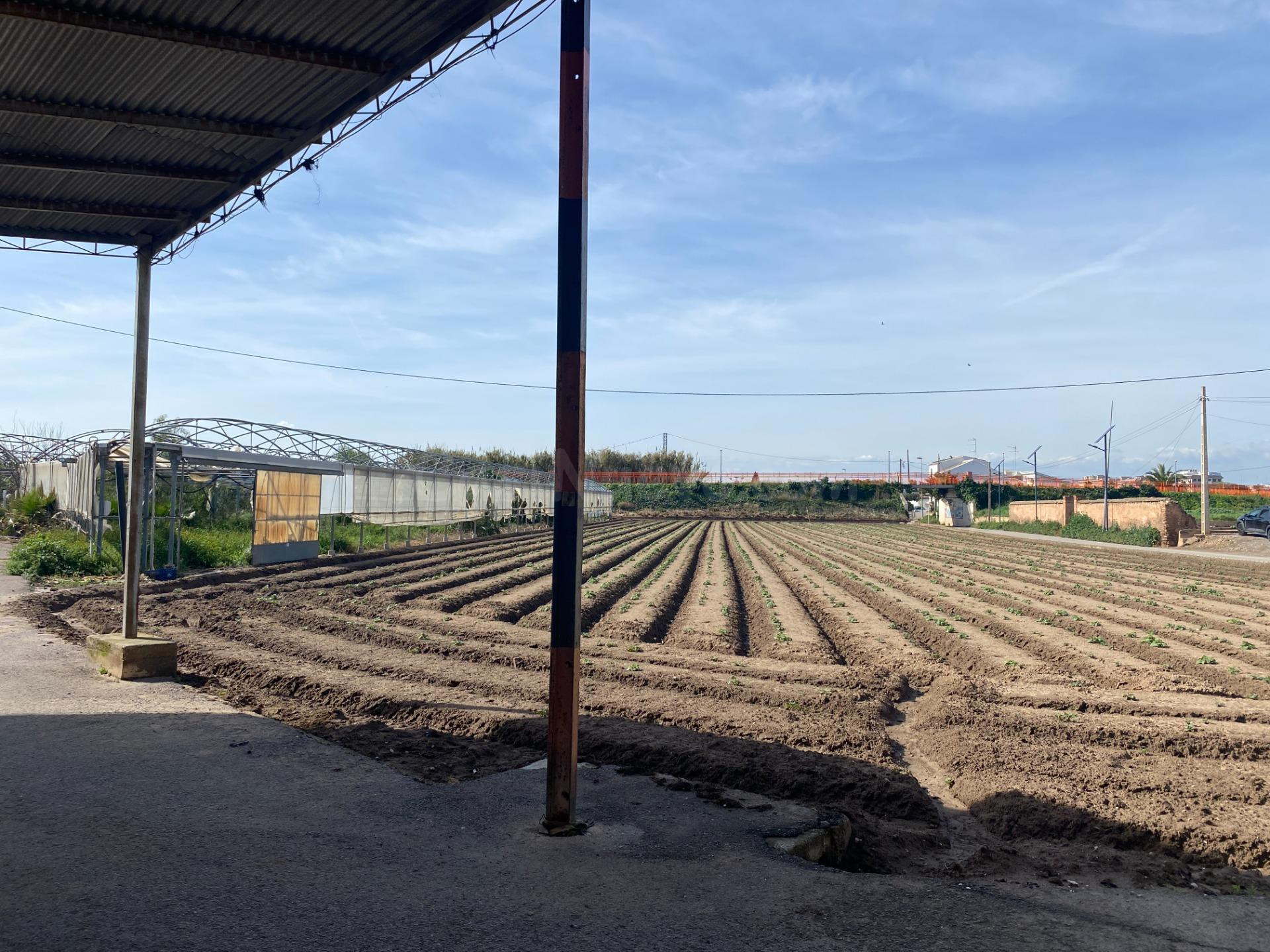 Oportunidad única en la huerta de Meliana: vivienda en parce