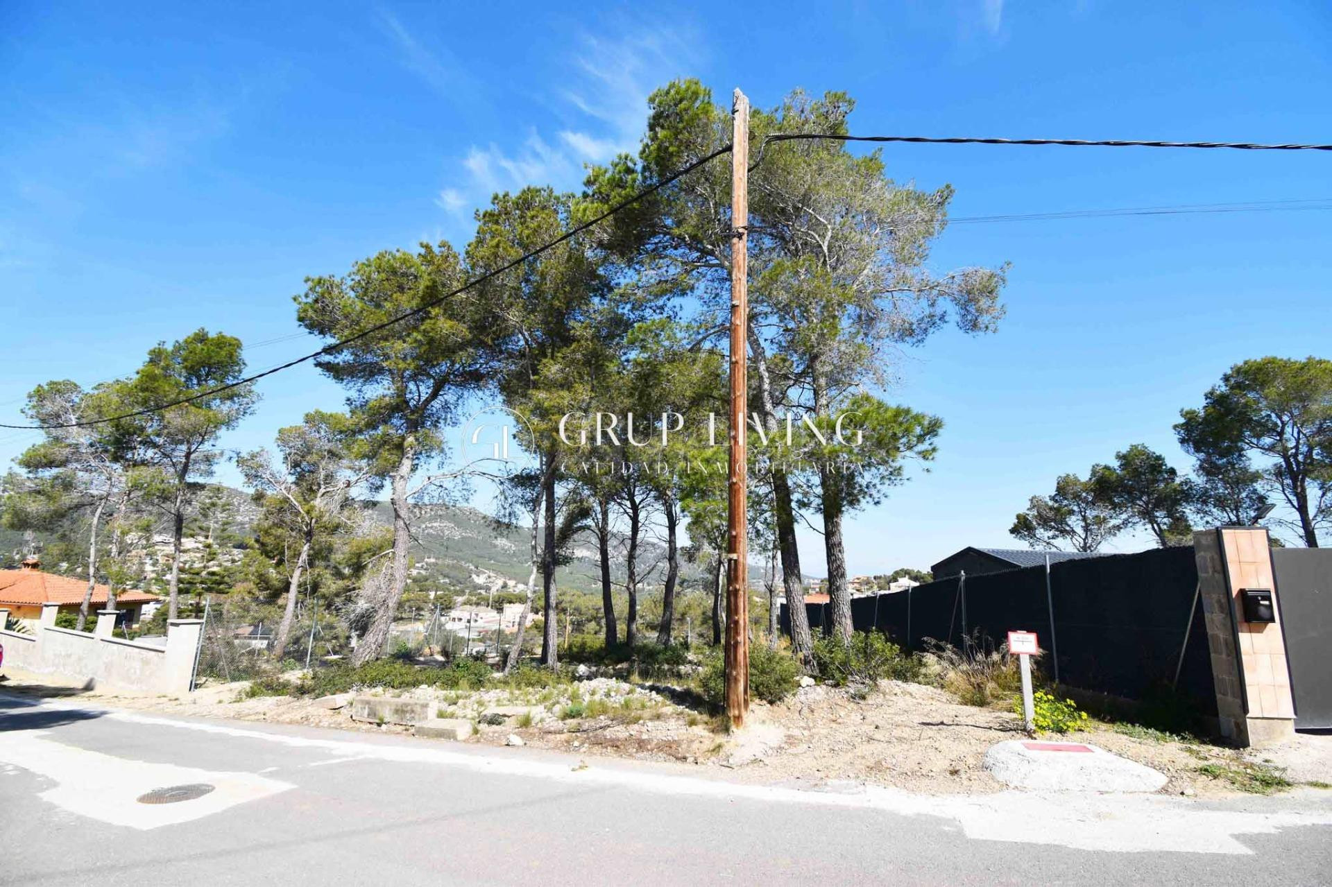 TERRENO PLANO EN LES PALMERES, CANYELLES - foto 2