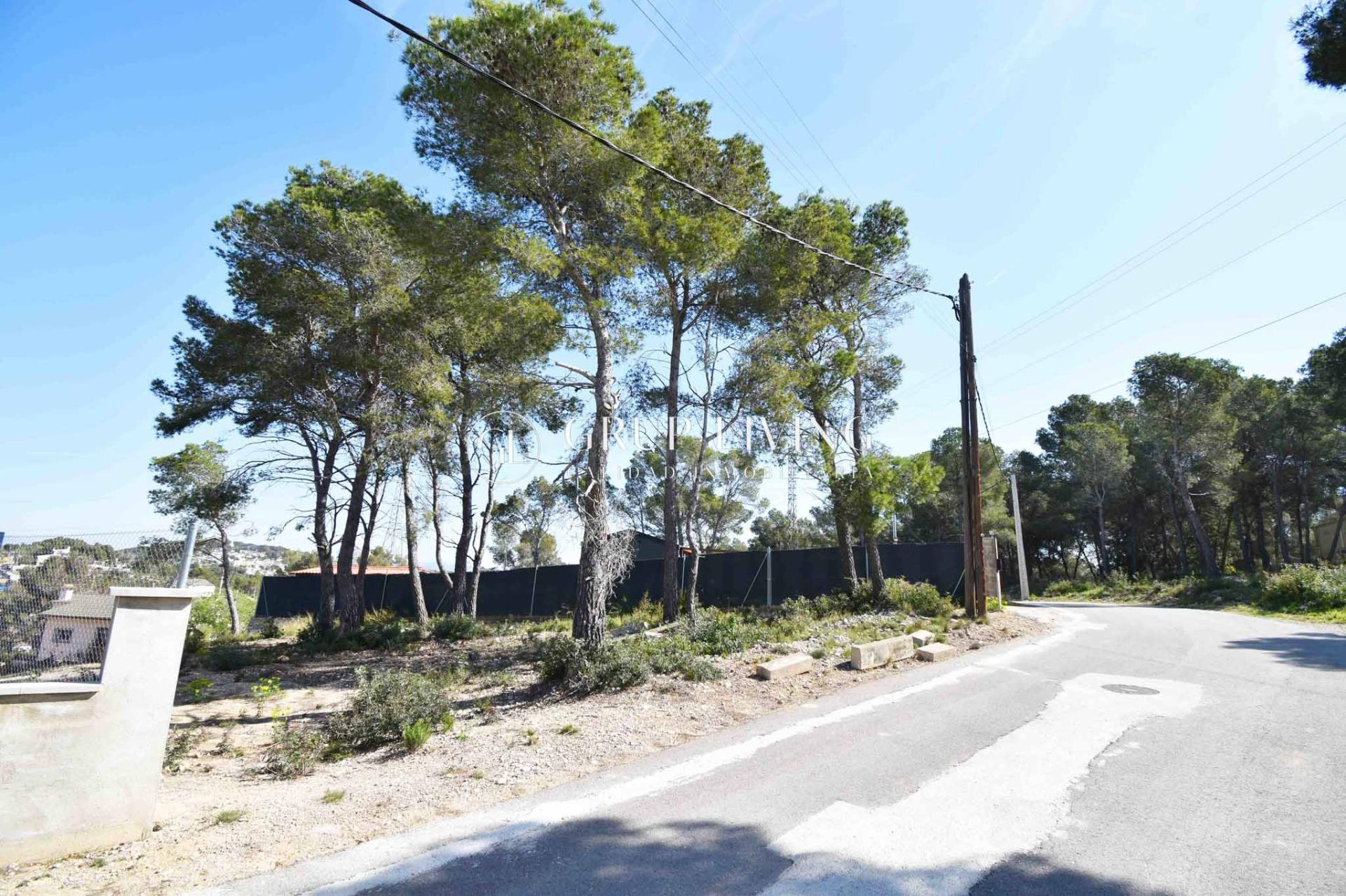 TERRENO PLANO EN LES PALMERES, CANYELLES - foto 4