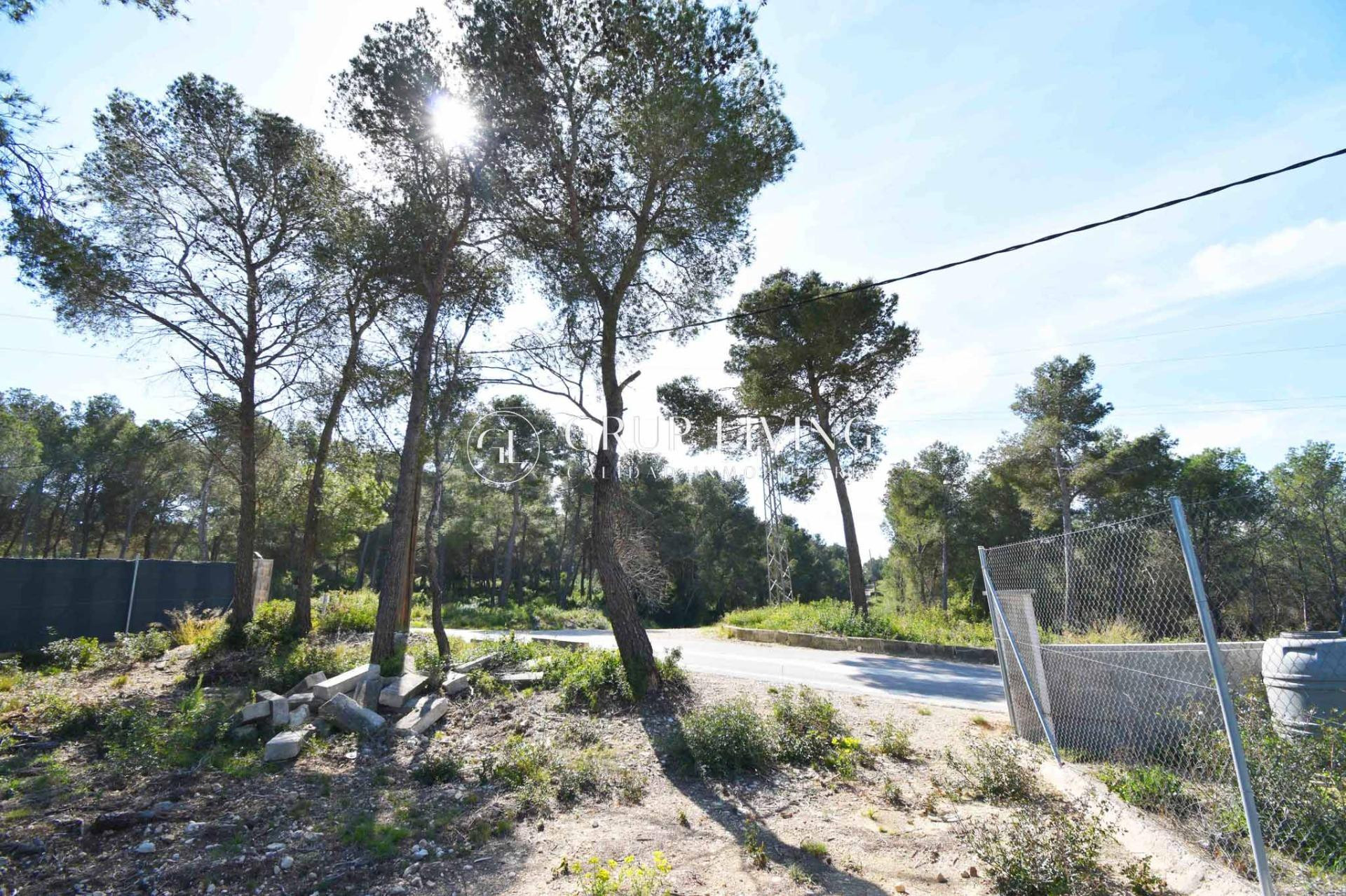TERRENO PLANO EN LES PALMERES, CANYELLES - foto 5