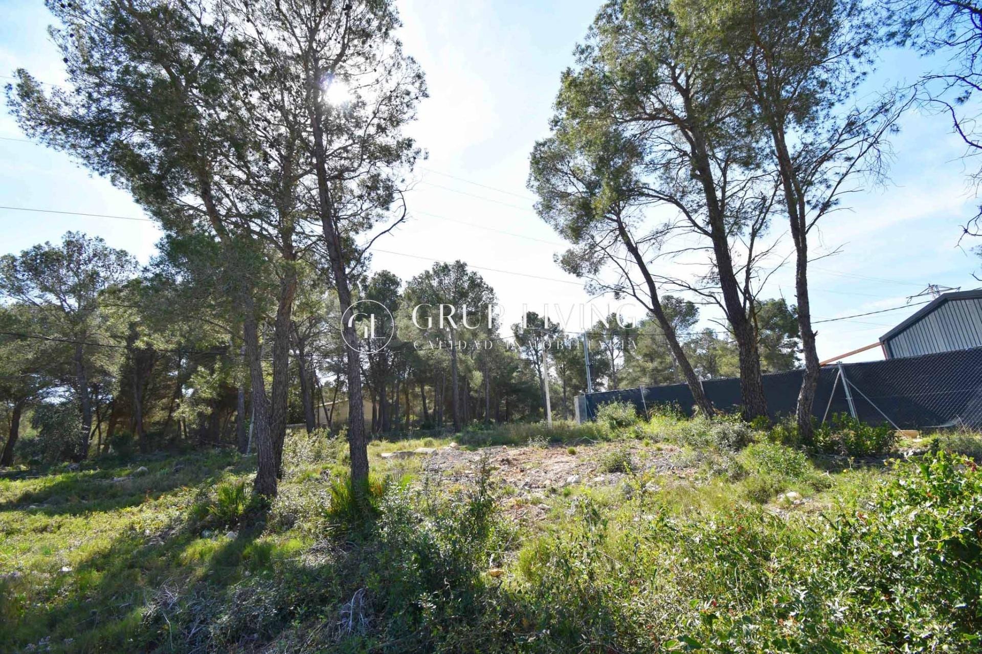 TERRENO PLANO EN LES PALMERES, CANYELLES - foto 3