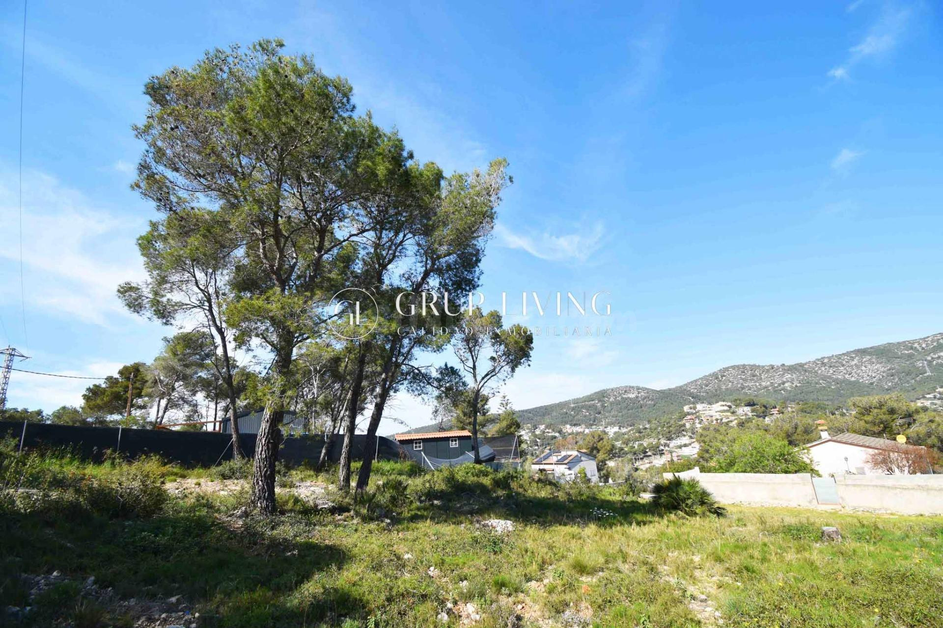 TERRENO PLANO EN LES PALMERES, CANYELLES - foto 5