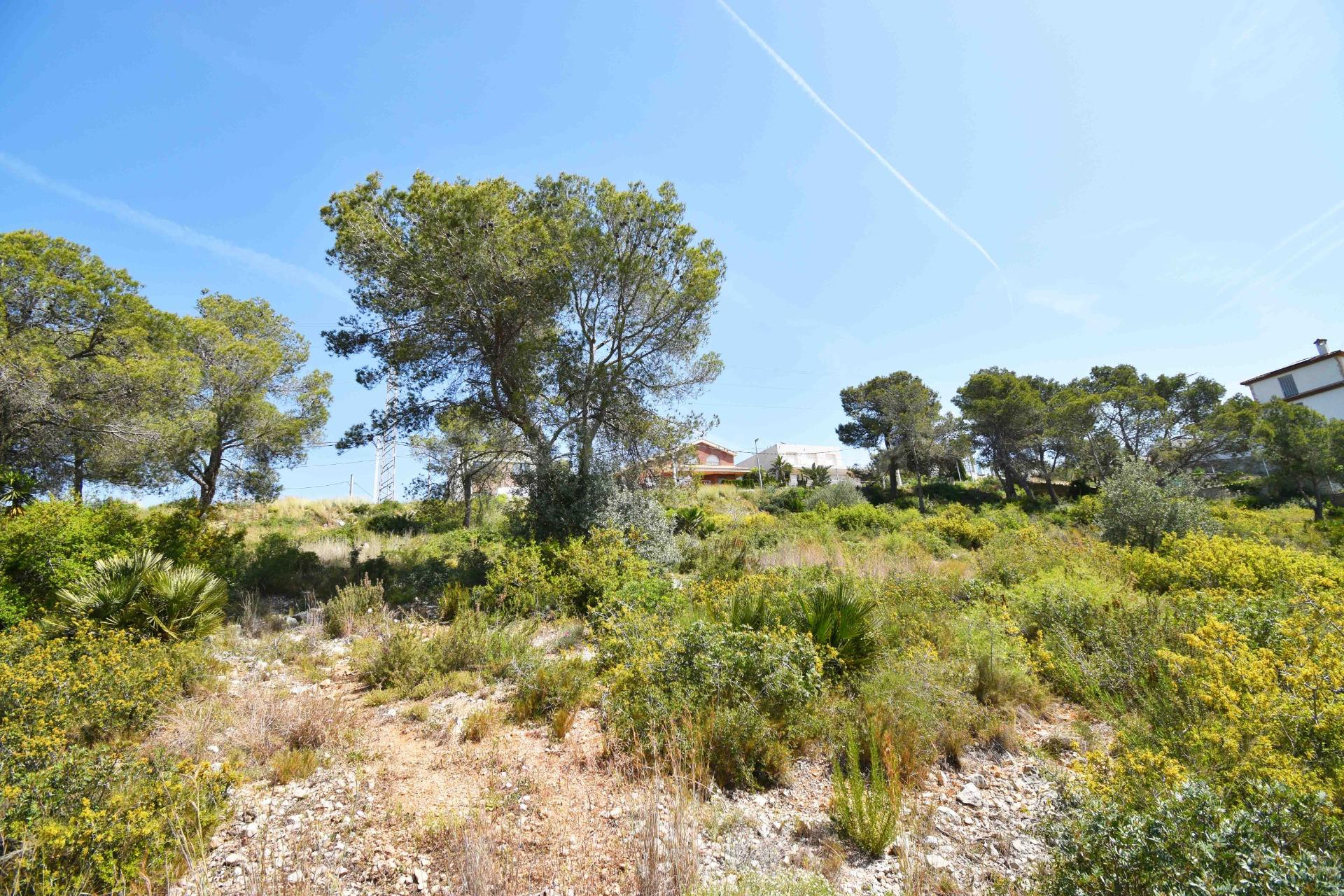 TERRENO BIEN ORIENTADO EN LES PALMERES, CANYELLES - foto 2