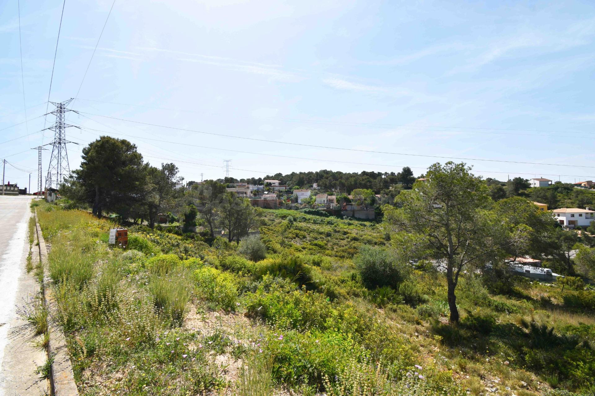 TERRENO BIEN ORIENTADO EN LES PALMERES, CANYELLES - foto 3