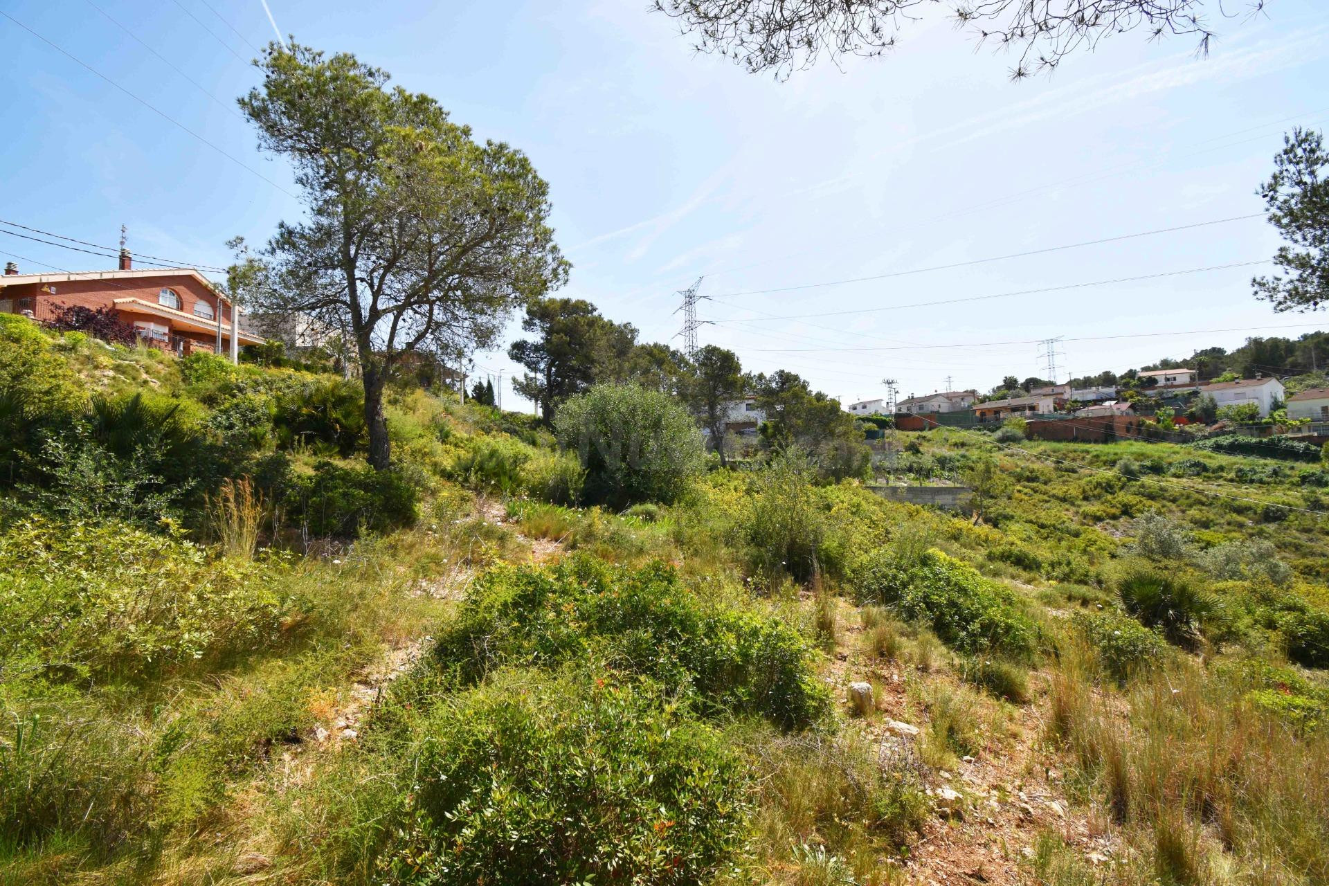 TERRENO BIEN ORIENTADO EN LES PALMERES, CANYELLES - foto 5