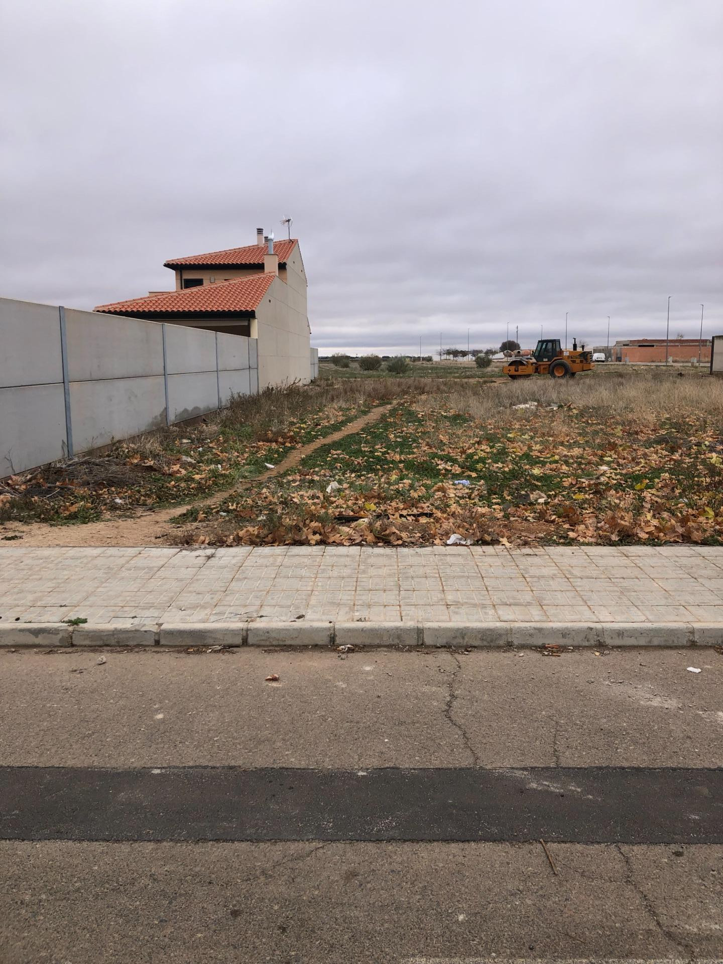Solar en venta - Campo de Calatrava - foto 2