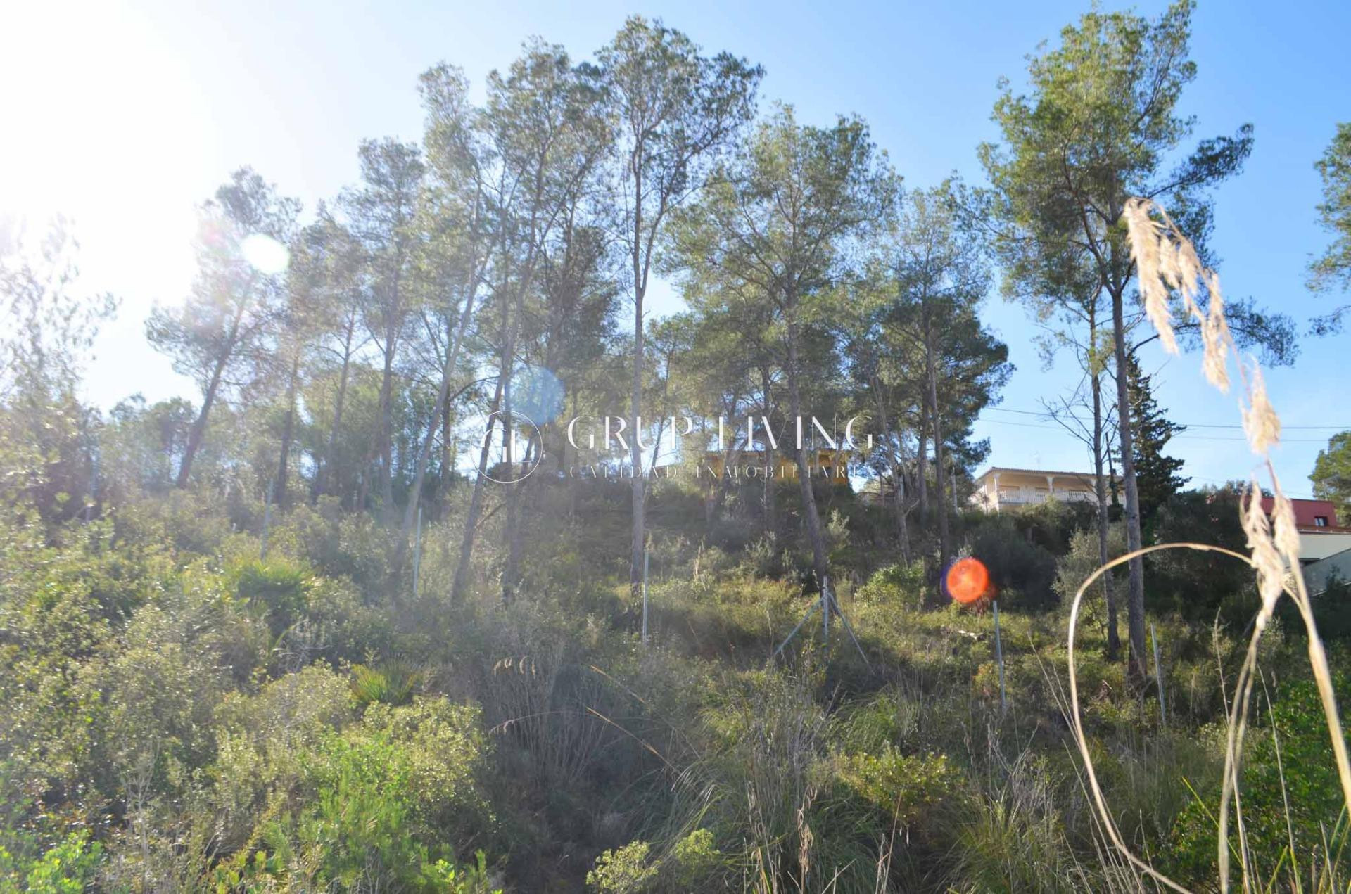 FANTÁSTICO TERRENO PLANO EN MAS MESTRE - foto 4