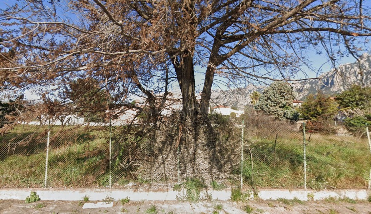 SOLAR EN VENTA EN COLLBATÓ - PLA DE CAN MIGRAT - foto 2