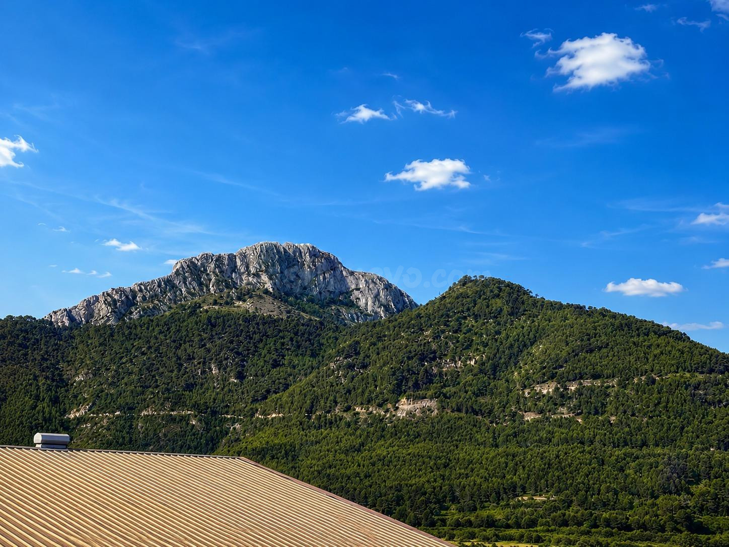 Chalet de 558 m2 con Gran Garaje, Parcela y Vistas a la Mont - foto 4