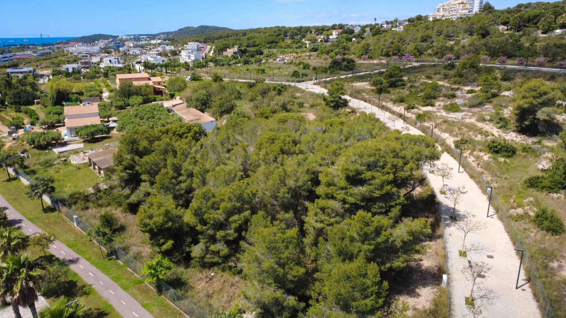 PARCELA EN LA PLANA DE SITGES - foto 2