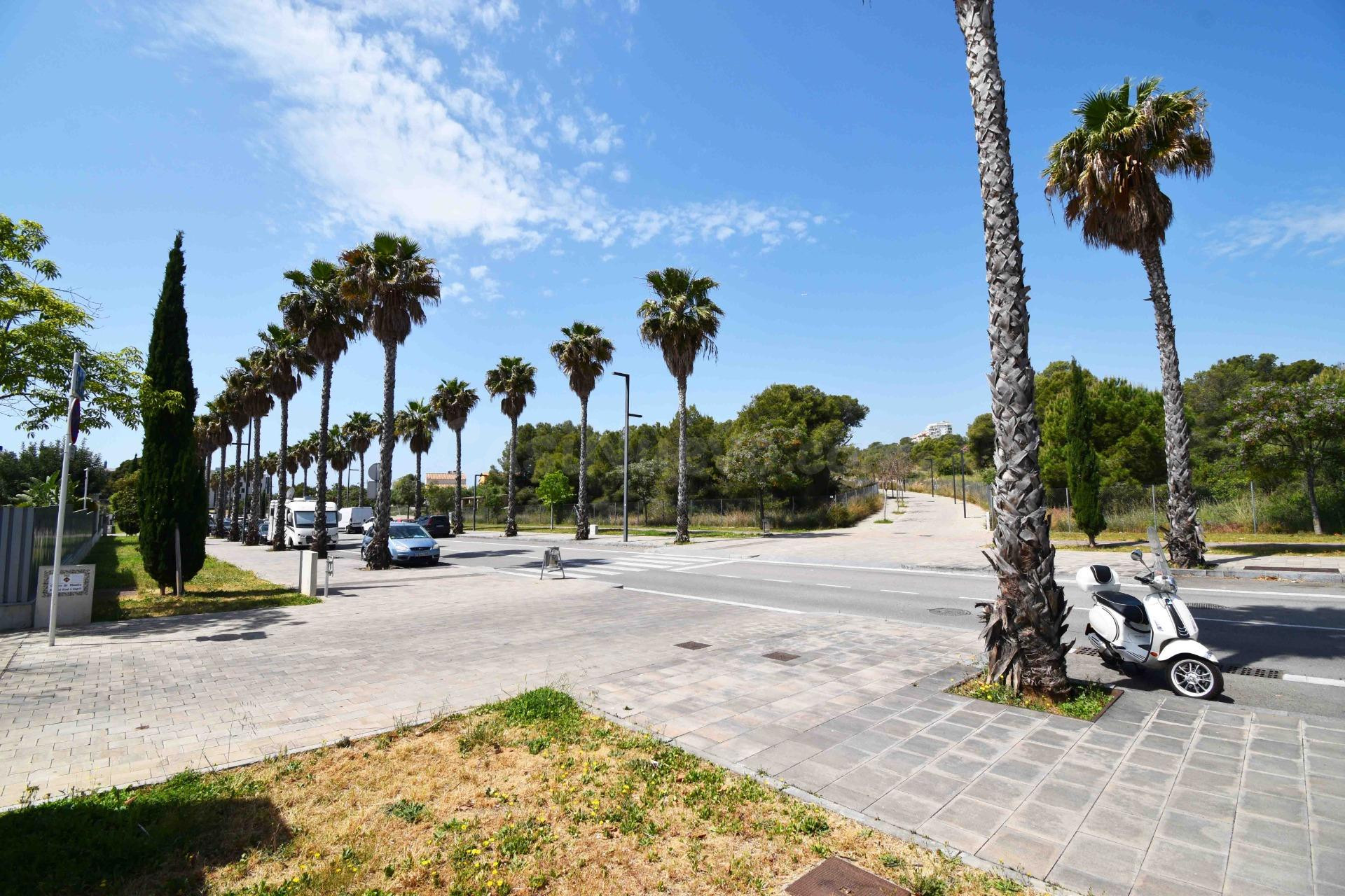 PARCELA EN LA PLANA DE SITGES - foto 5