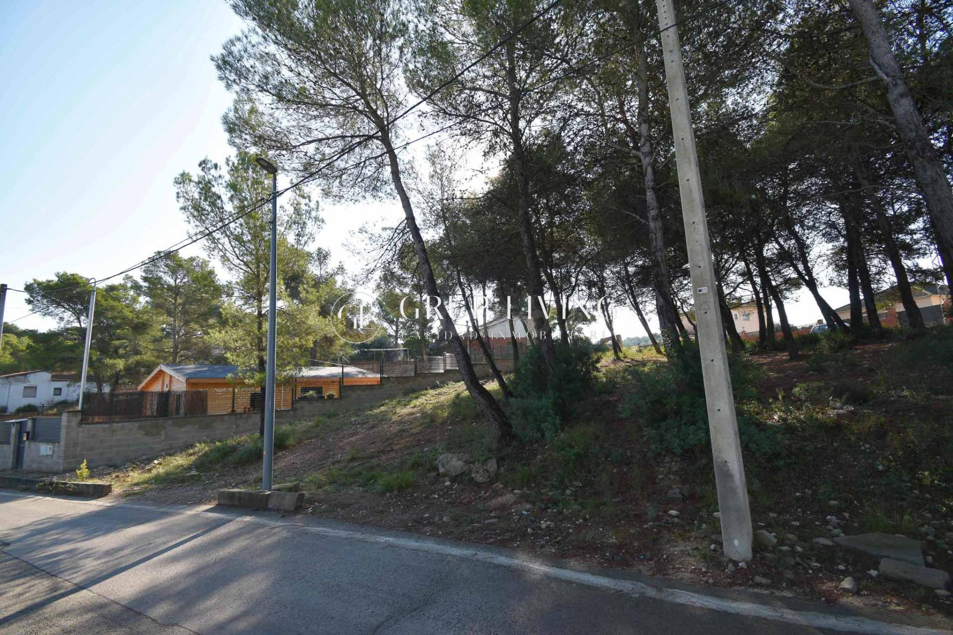 TERRENO PLANO EN LES PALMERES, CANYELLES - foto 2