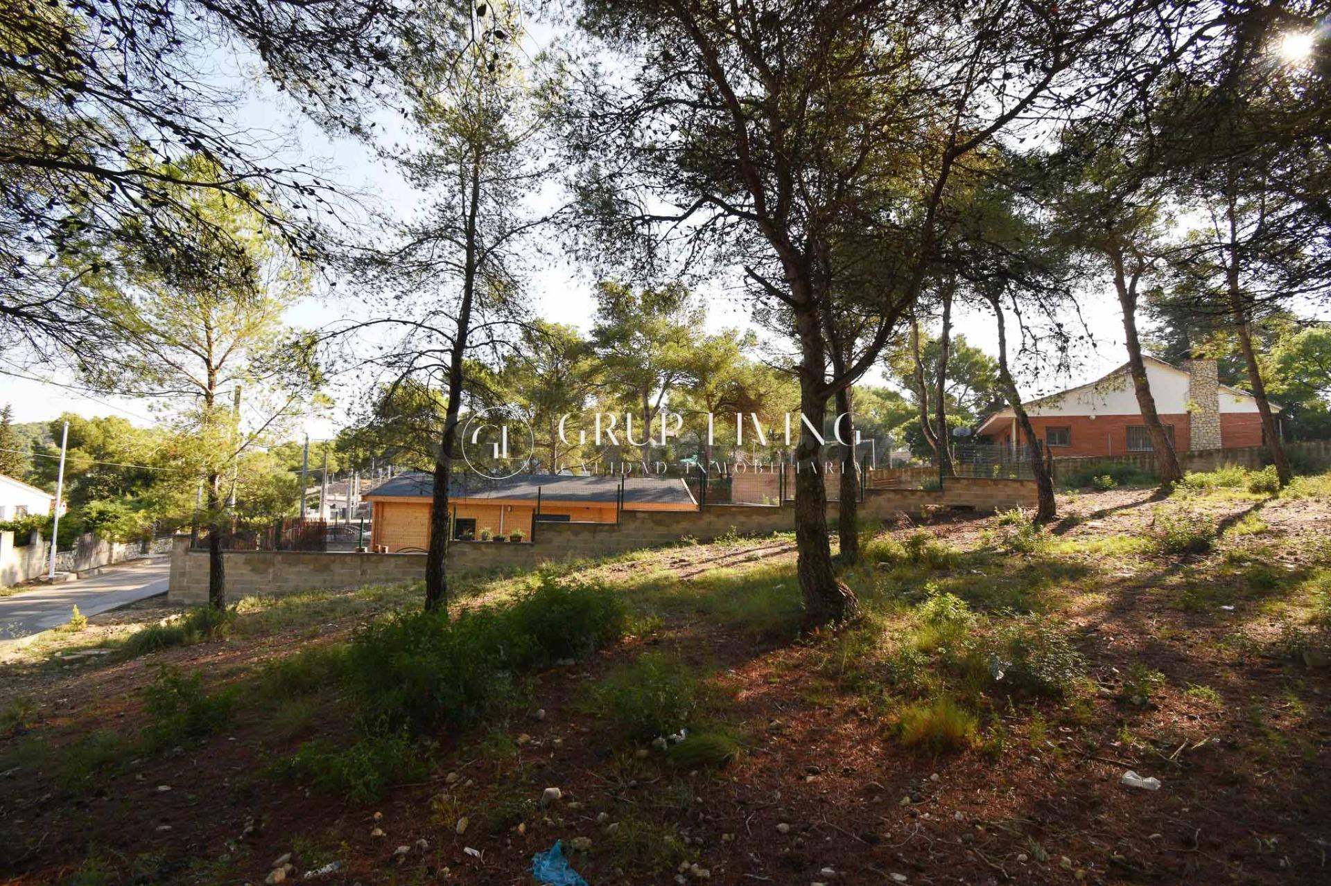 TERRENO PLANO EN LES PALMERES, CANYELLES - foto 4