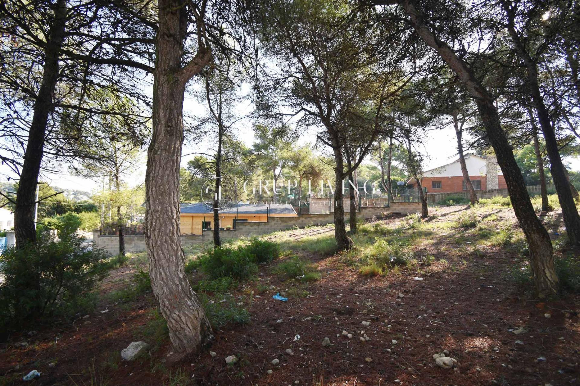TERRENO PLANO EN LES PALMERES, CANYELLES - foto 5