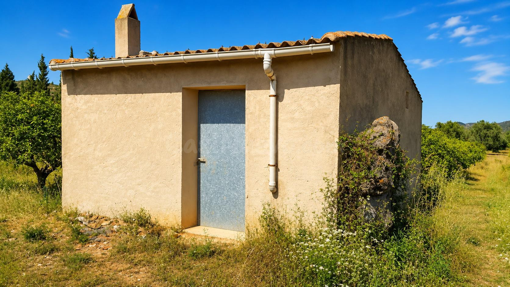 Finca rústica de 12.440 m2 con 490 naranjos Valencia Late en