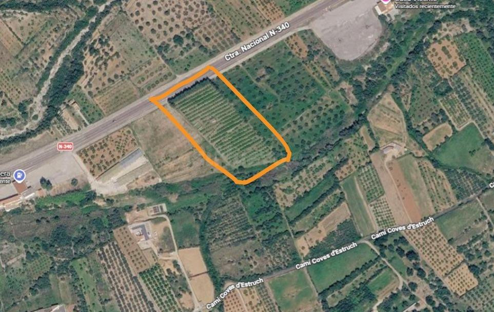 Finca rústica de 12.440 m2 con 490 naranjos Valencia Late en - foto 2