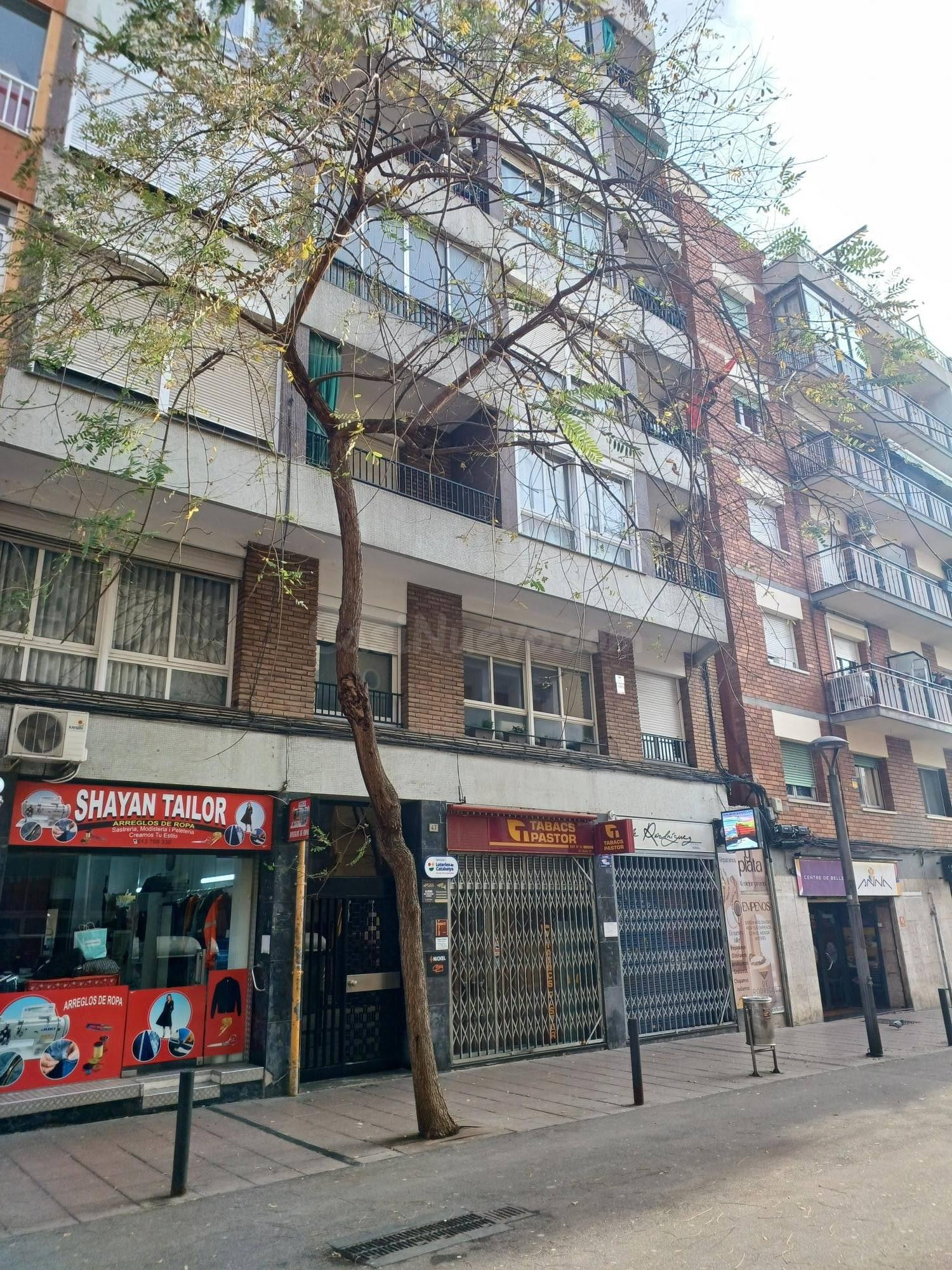 OPORTUNIDAD INVERSION - INMUEBLE ALQUILADO EN SANTA EULALIA, - foto 3