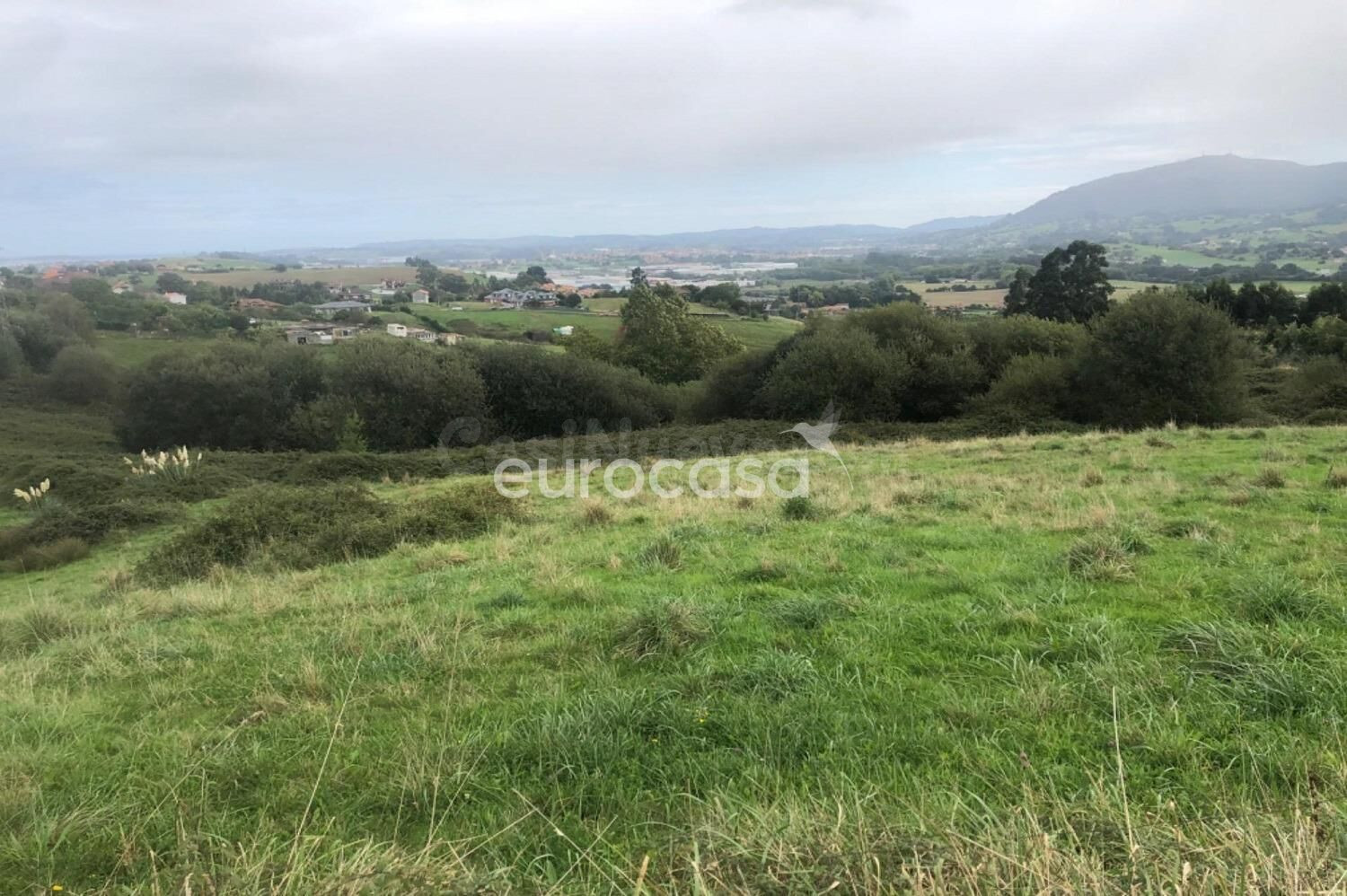 CALIDAD DE VIDA Y TRANQUILIDAD EN UN ENCLAVE NATURAL ÚNICO - foto 3