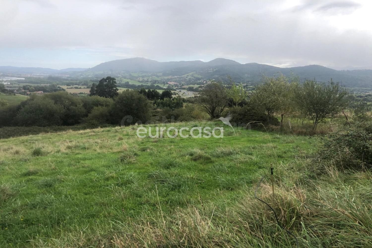 CALIDAD DE VIDA Y TRANQUILIDAD EN UN ENCLAVE NATURAL ÚNICO - foto 4