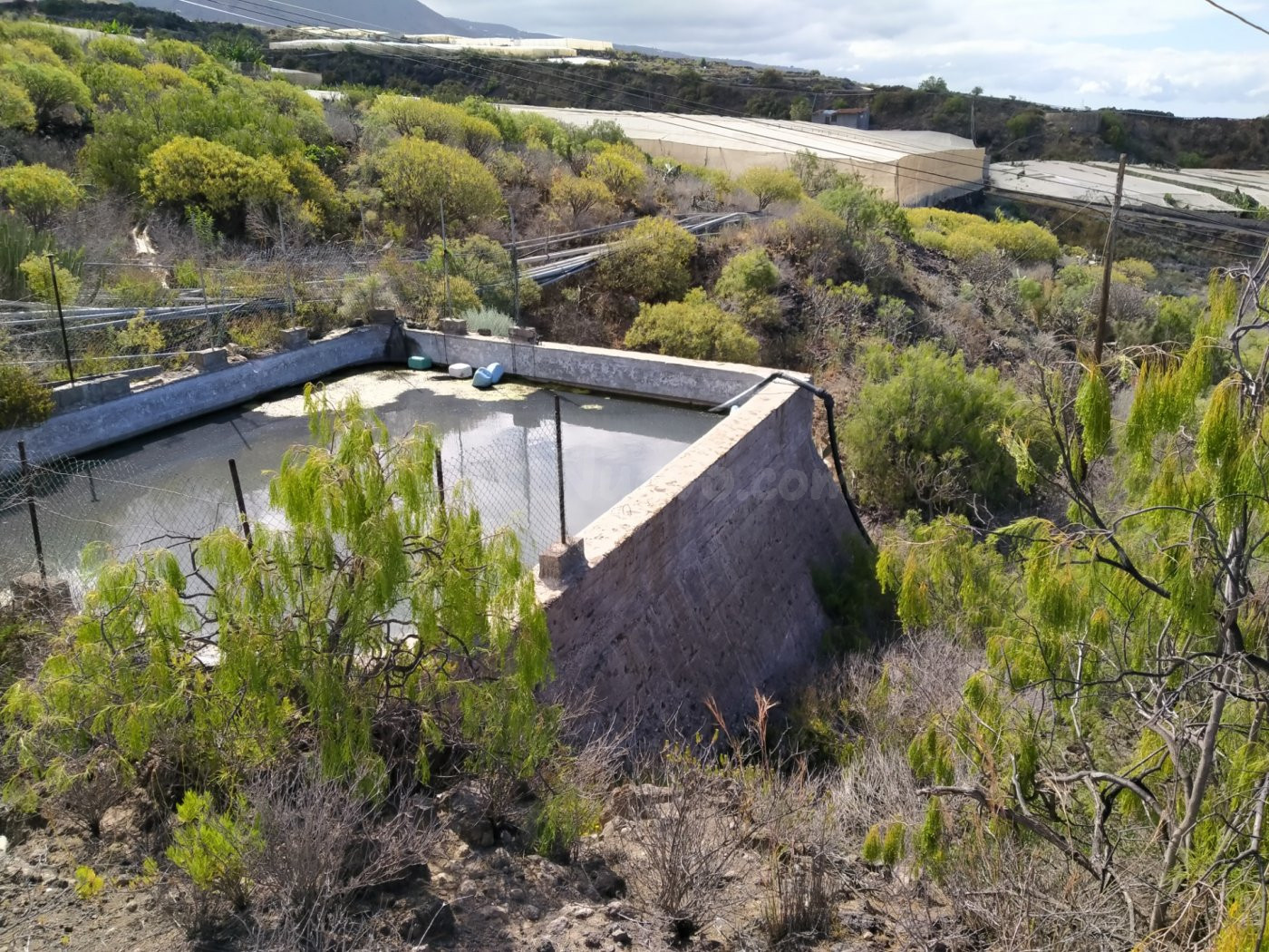 Venta de terreno agrícola ganadero - foto 2