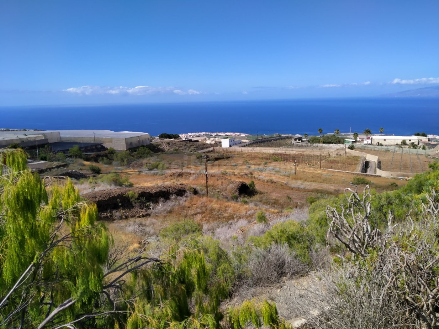 Venta de terreno agrícola ganadero - foto 3