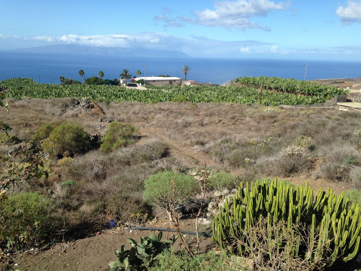 Venta de terreno agrícola ganadero - foto 4