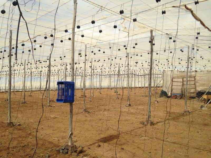 TERRENO EN GUÍA DE ISORA - foto 5