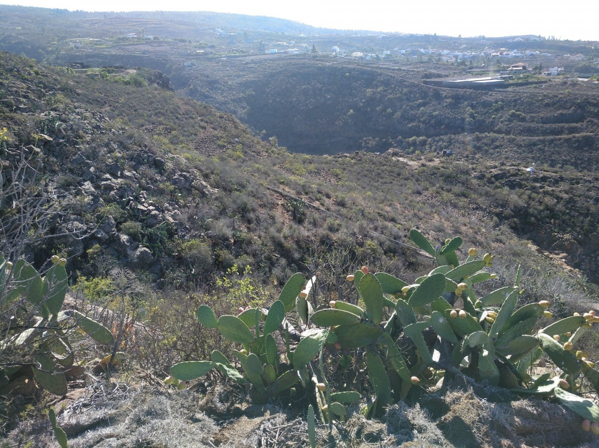 Terreno en La Concepción - Adeje - foto 5