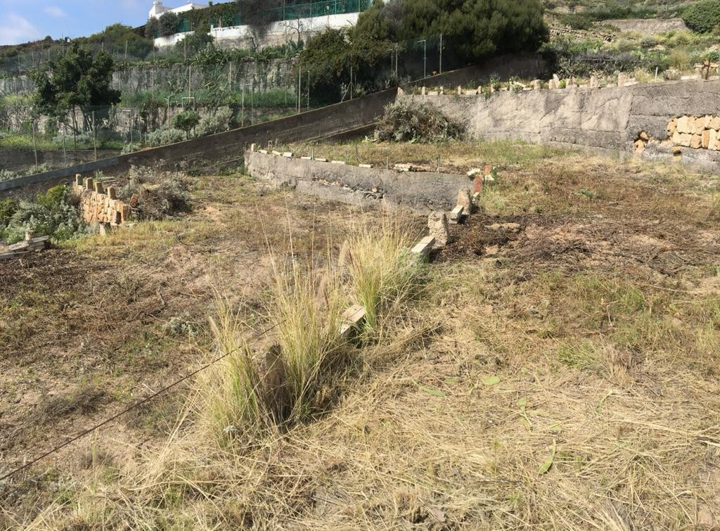 Terreno en el ESCOBONAL - foto 4