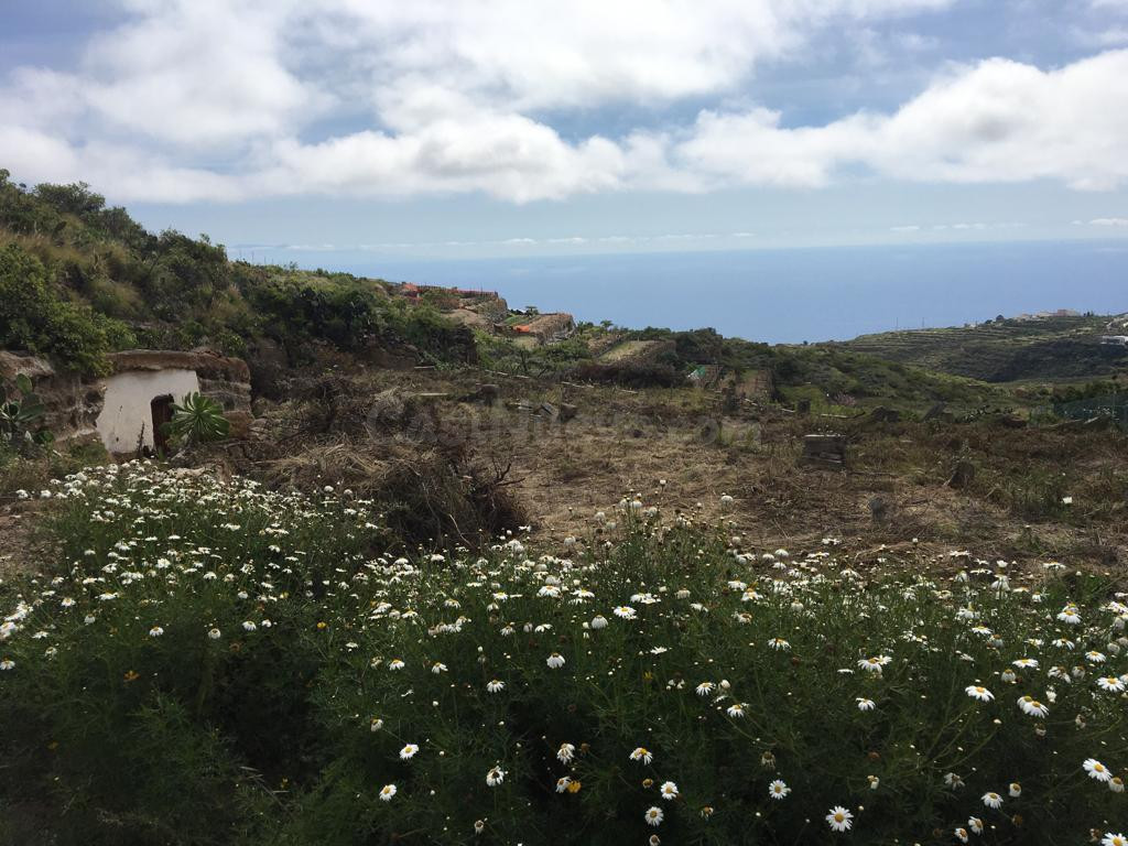 Terreno en el ESCOBONAL - foto 5
