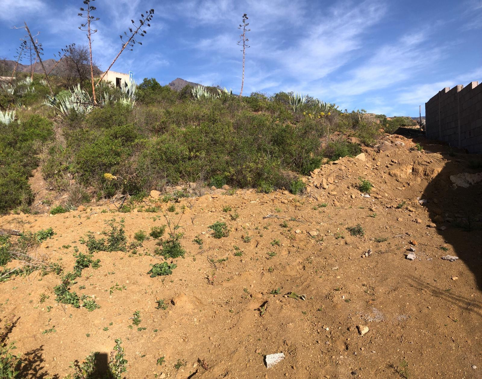 Terreno Guimar