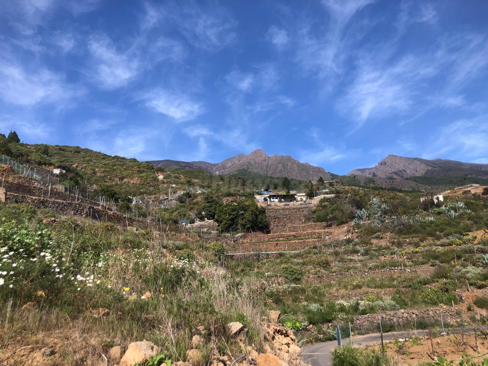 Terreno Guimar - foto 2
