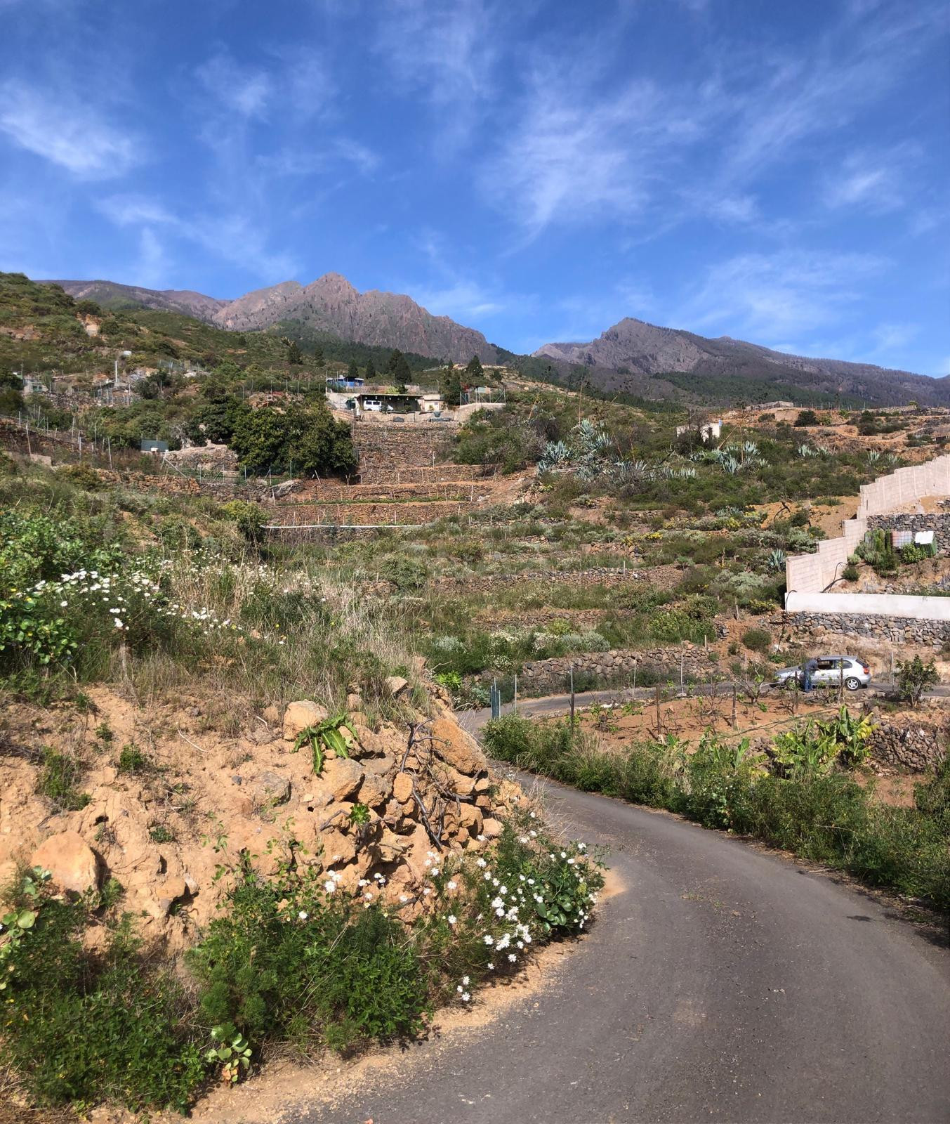 Terreno Guimar - foto 3