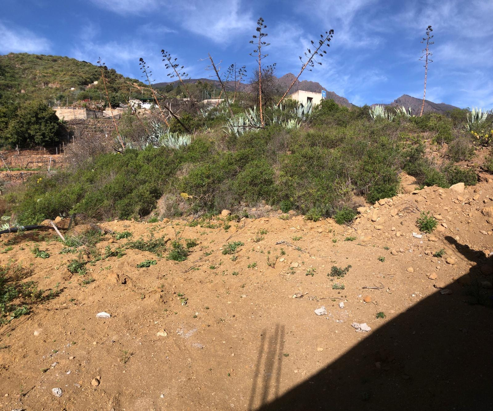 Terreno Guimar - foto 4