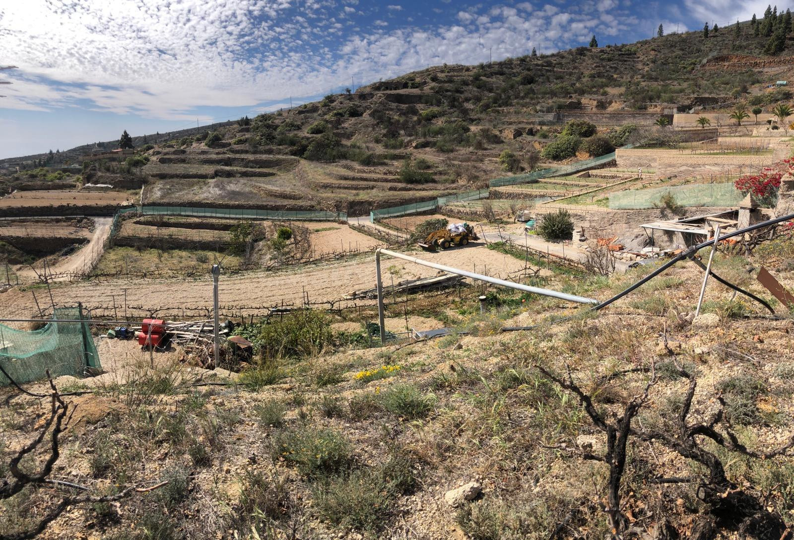 Terreno Fasnia - foto 3