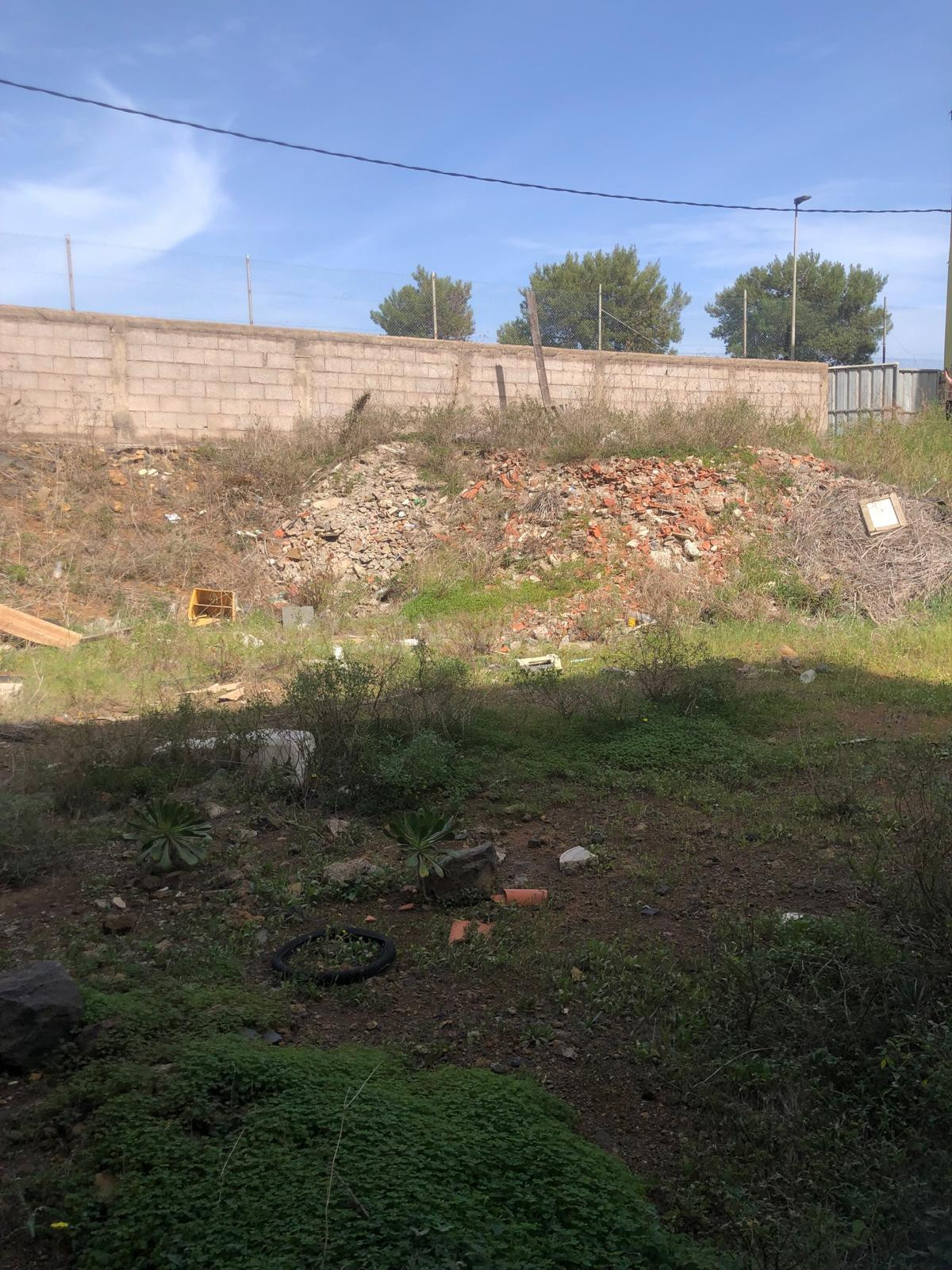 Terreno Geneto La Laguna - foto 2